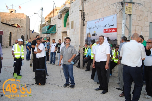 lud 7efifa masira2 (7).JPG